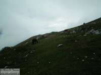 2015-09-28 La traversata degli Ernici 176